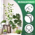 thumbnail image 4 of Ounissouiy Enrejado de Metal negro para plantas de interior, alambre de Metal para decoración de plantas, moderno y moderno, 2 pack/lote Jardín y Patio Como se muestra 38*10cm, 4 of 6