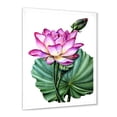 thumbnail image 2 of Designart 'Ancient Pink Lotuses In The Pond VI' Traditional Framed Art Print, 2 of 4