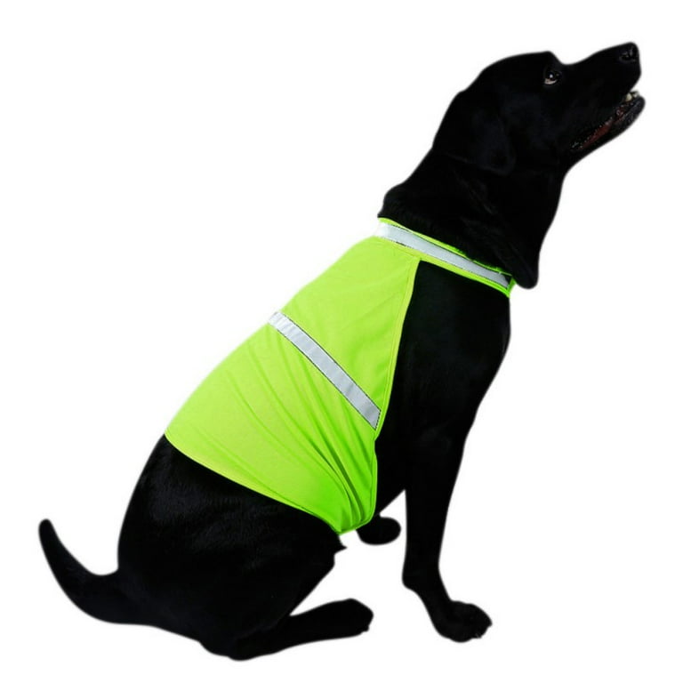 Hi vis dog vest cheap