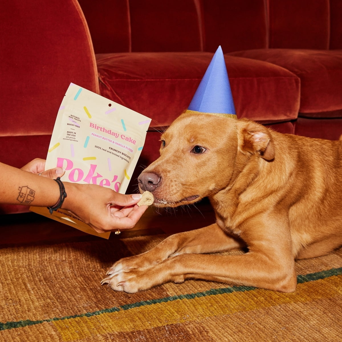 (Pack Of 6) Pokes Pantry Dog Treat Birthday Cake 8 Oz
