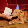 thumbnail image 3 of (Pack Of 6) Pokes Pantry Dog Treat Birthday Cake 8 Oz, 3 of 3