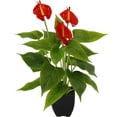 thumbnail image 1 of Plante Artificielle en Pot Anthurium Exotique Flamant Rose Plante Fleur Exotique Rouge Plante Fleur Artificielle Plante Décorative Plante Artificielle Plante d'Intérieur, 1 of 1