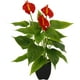 thumbnail image 1 of Rawiri Planta artificial de anturio en maceta Anthurium exótico Flor de flamenco Flor de flamenco Planta de floración roja exótica Planta de flamenco Planta artificial Planta decorativa Flor, 1 of 1