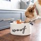 thumbnail image 5 of Cesta de regalo para cachorros Paws For Reaction, kit de inicio premium, 5 of 9