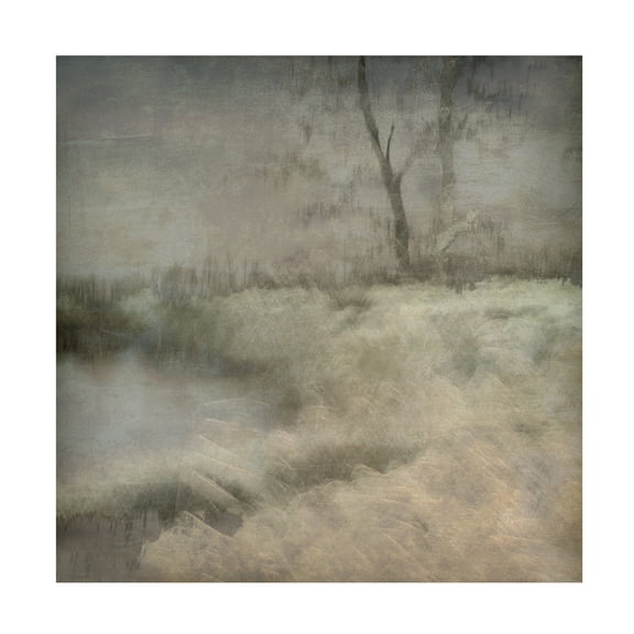 Canvas Wall Art - Nel Talen 'Little Ven' Wall Art for Living Room, Bedroom, or Office Décor by Trademark Fine Art - 14 x 14 Inches