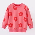 thumbnail image 2 of HCNTES Toddler Baby Girl Sweatshirt Long Sleeve Pullover 2T 3T 4T 5T 6T Kids Loose Tee Tops, 2 of 9