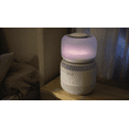 thumbnail image 4 of Levoit Sprout Evaporative Humidifier, 4 of 7