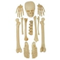 thumbnail image 4 of Bone color of plastic Bag of Bones,12 bones Per bag,Halloween decoration,by Way to celebrate, 4 of 4