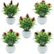 thumbnail image 3 of Gwong Decoración hogareña Fresa artificial de champiñones Fruta Planta Bonsai Sala de estar Decoración de jardín Gwong 21039039, 3 of 7