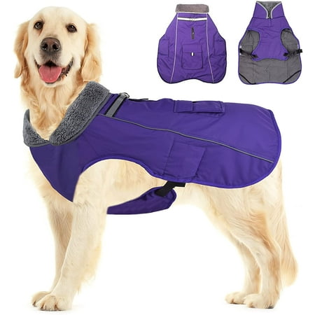 manteau chien froid