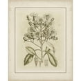 thumbnail image 3 of Curtis 12x14 Black Modern Framed Museum Art Print Titled - Small Tinted Botanical I, 3 of 5