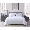 thumbnail image 2 of The Nesting Company Larch Bedding Set 3 Piece Quilted Microfiber Comforter Set  2 Pillow Shams, 2 of 7