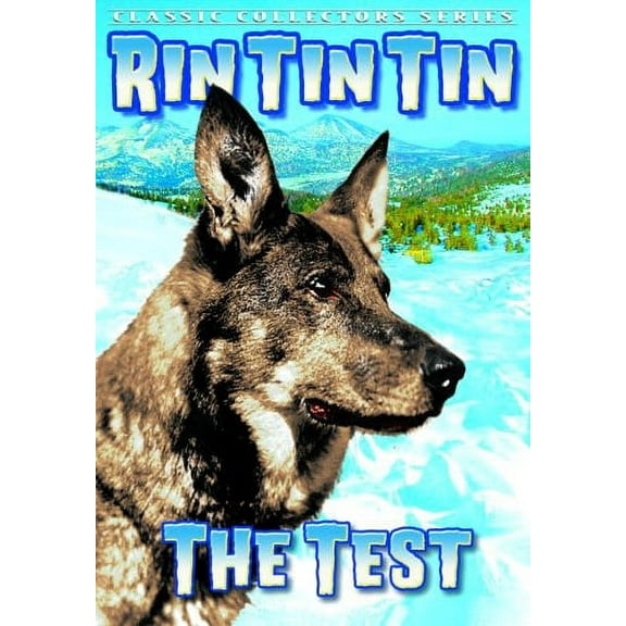 The Test (DVD), Alpha Video, Action & Adventure