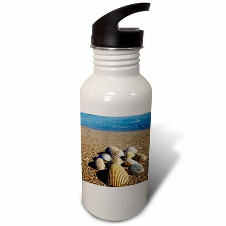 

3dRose Seashells Jacksonville St. Johns River Florida - US10 GJO0234 - Greg Johnston Sports Water Bottle 21oz