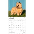 thumbnail image 3 of Cairn Terriers | 2027 12x24" (Hanging) Wall Calendar | Plastic-Free, 3 of 9