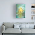 thumbnail image 2 of Trademark Fine Art Cicek Kiral Reflections Canvas Wall Art, 2 of 4