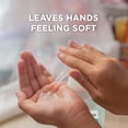thumbnail image 4 of Gel Antibacterial HealthWise Aloe con Vitamina E 354 ml, 4 of 9