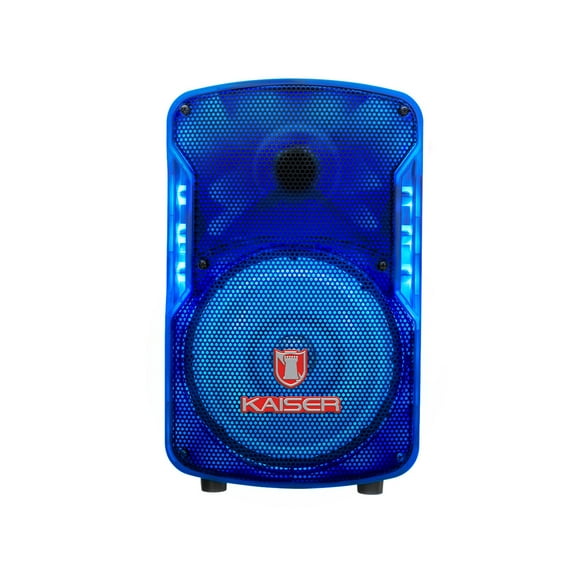 Bafle 8 6,200 W PMPO con micrófono alámbrico FL