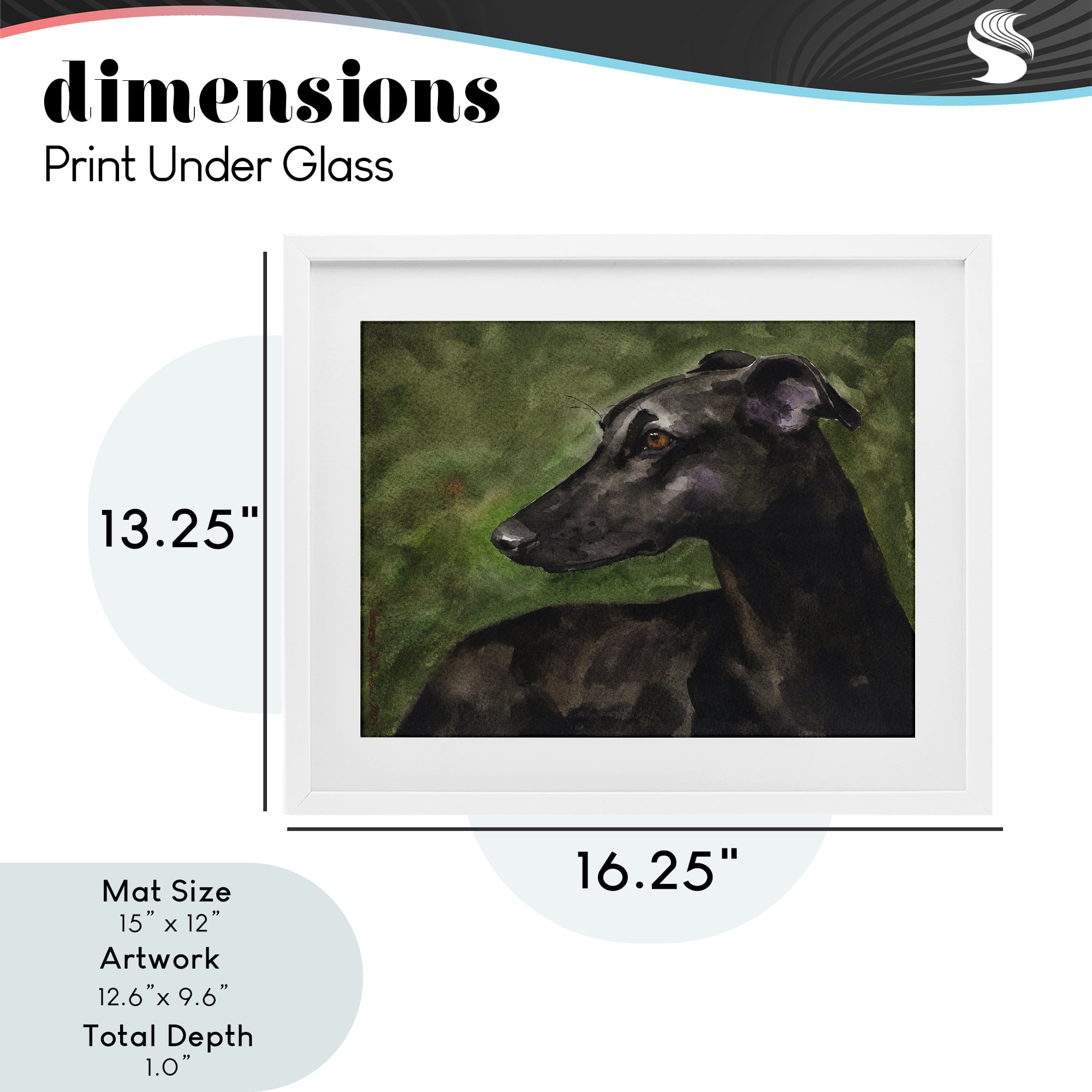 Stupell Industries Black Greyhound Portrait White Framed Print Under Glass, design by George Dyachenko