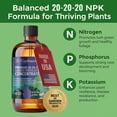 thumbnail image 6 of 𝐏𝐑𝐎𝐅𝐄𝐒𝐒𝐈𝐎𝐍𝐀𝐋 All-Purpose 20-20-20 - Liquid Fertilizer Concentrate for Lawns, Grass, Plants, Vegetables, Fruits & Flowers | 20-20-20 Liquid Superfood for Indoor and Outdoor Plants (8 OZ), 6 of 7