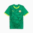 thumbnail image 4 of Jersey Playera Puma de la Seleccion de Senegal Para Hombre Talla Grande (L), 4 of 4
