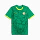 thumbnail image 4 of Jersey Playera Puma de la Seleccion de Senegal Para Hombre Talla Grande (L), 4 of 4