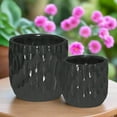 thumbnail image 6 of Wren Emboss Ceramic Planter Set (Set of 2), 6 of 11