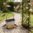 thumbnail image 5 of Suet Feeder for Outside Hanging, Metal Suet Cake Holder Squirrel Proof, Birds Metal Wild Bird Seed for Outside Feeders with Viewing Window for Garden Decor, 5 of 7