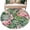 Pink, variant on Pink Flamingo Round Area Rug 5Ft Washable Circle Rugs for Living Room Bedroom, Summer Tropical Watercolor Plants Green Leaves Non-Slip Carpet Floor Mats Indoor Outdoor Carpet Runner Home Decor