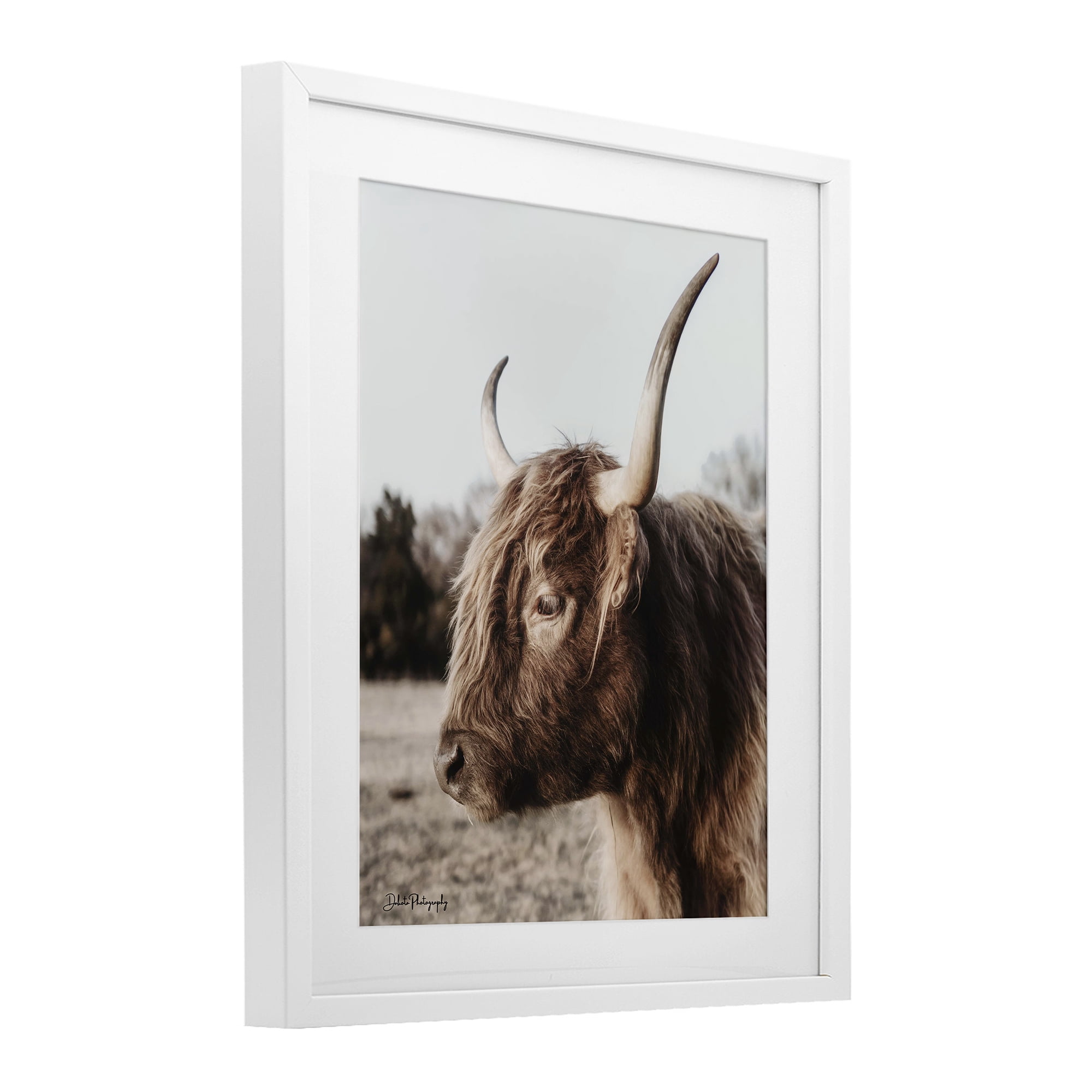 Stupell Industries Horned Cattle Peering White Framed Print Under Glass, design by Dakota Diener