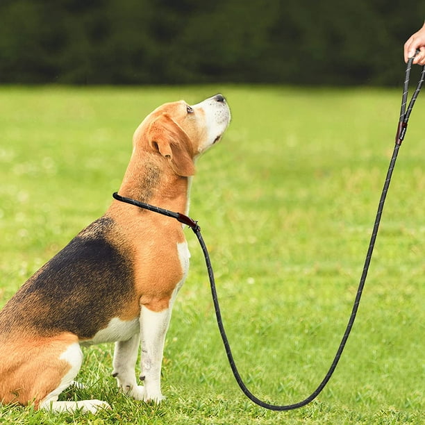 6 FT Slip Lead Dog Leash Full Reflective Dog Training Leash Heavy Duty Adjustable Pet Slipknot Nylon Slip Rope Lead for Small Medium Large Dogs Black Walmart