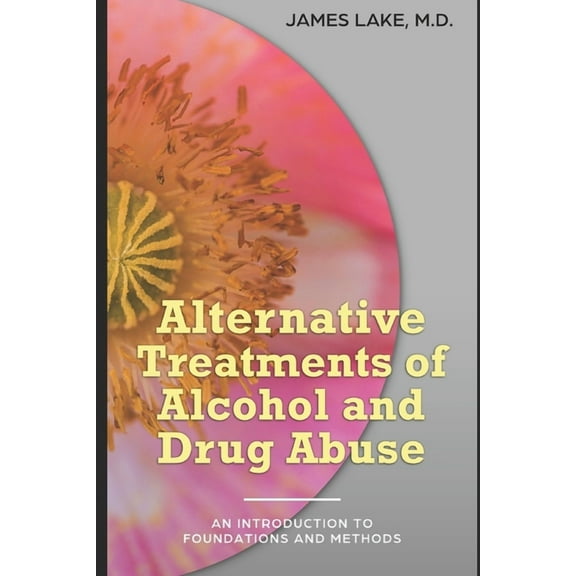 Alternative and Integrative Treatments in Mental Health Care: Alternative Treatments of Alcohol and Drug Abuse : Safe, effective and affordable approaches and how to use them (Series #1) (Paperback)