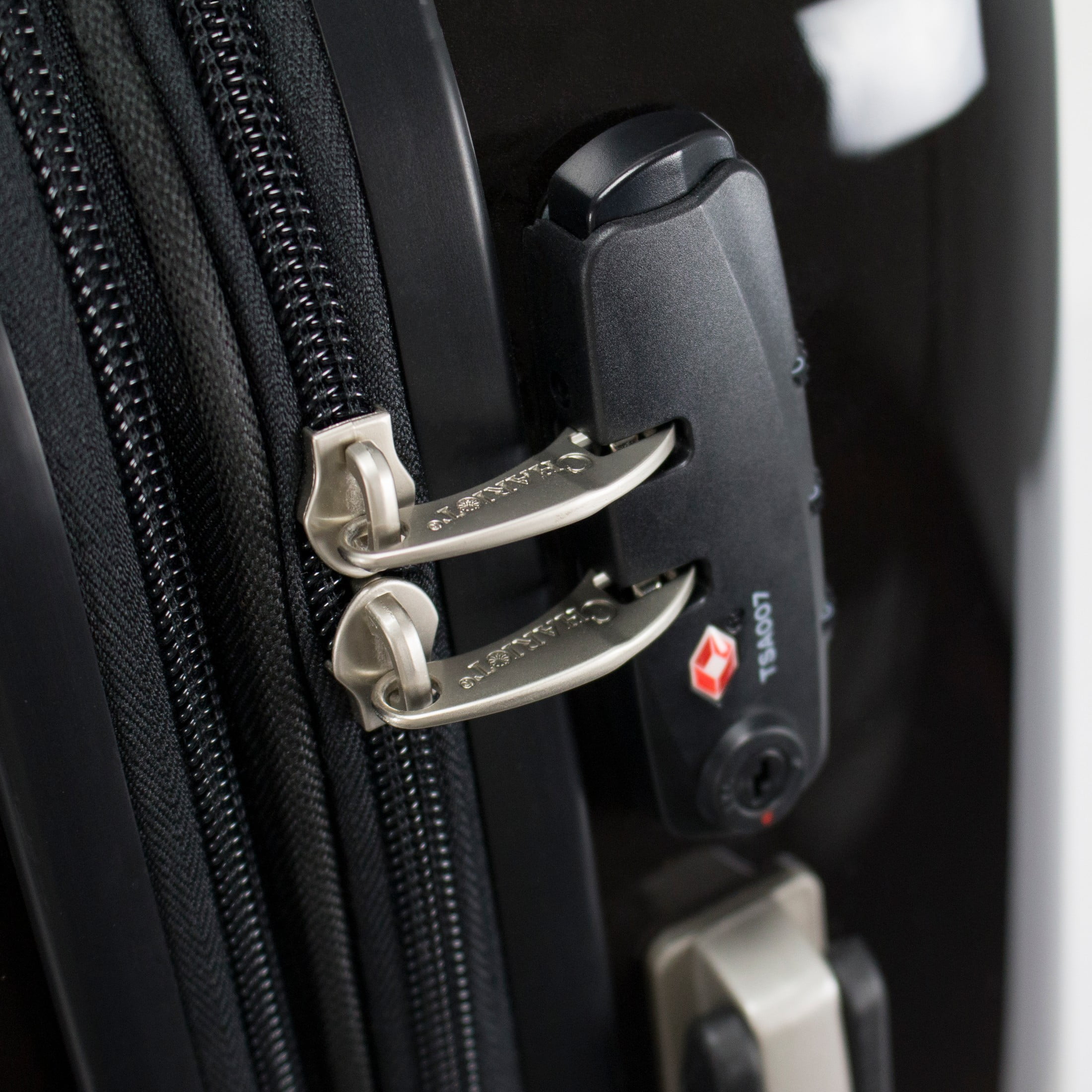 Chariot Horse Lovers 24-inch Hardside Spinner Luggage - Stallion Horse