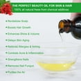 thumbnail image 6 of Aliver Monarda Essential Oil 3 Pack, Skin and Hair Moisturizer, Pure and Natural, 6 of 9