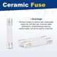 thumbnail image 3 of Uxcell 20Pcs Fusibles de retardo de tiempo de cerámica Tubo 6mm x 30mm 250V 5A Fusible de acción lenta Reparar placas de circuito, equipos de iluminación, instrumentación, electrodomésticos, 3 of 6