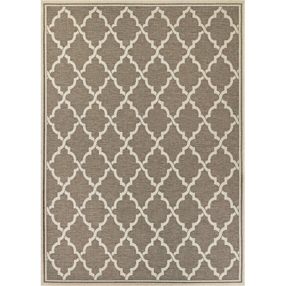 3.75' x 5.4' Brown and Ivory Moroccan Rectangular Outdoor Area Throw Rug