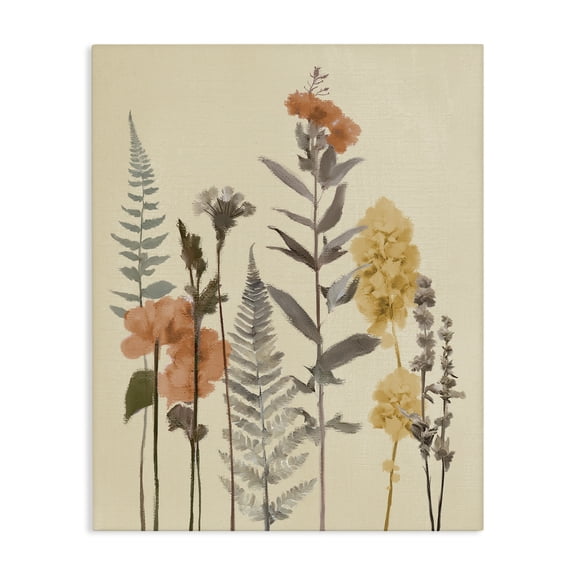Stupell Industries French Country Fall Botanicals Fresh Ferns Canvas Art, 16 x 20, by Elizabeth Medley