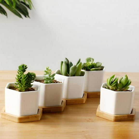 Altsales White Ceramic Succulent Plant Pot Cactus Plant Pot With Bamboo Tray