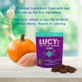 thumbnail image 6 of Lucy Pet Products Hip to Be Square Chicken & Pumpkin Dog Treats 6 oz, 6 of 7