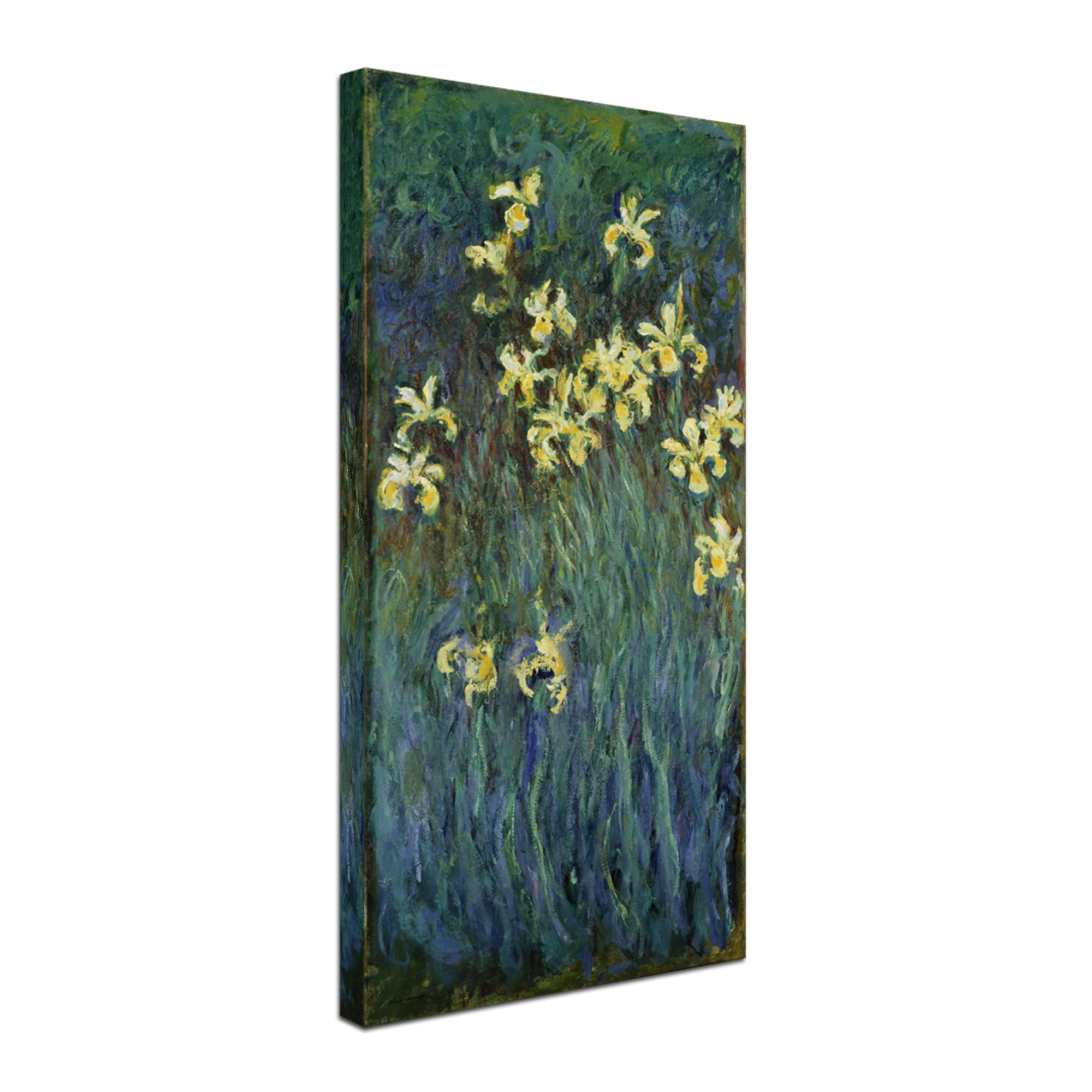 Claude Monet 'The Yellow Irises' Canvas Art
