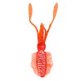thumbnail image 3 of Señuelos de pesca suaves duraderos cebo de pesca de simulación de 15 g para pesca nocturna de peces grandes ANGGREK Otros, 3 of 8