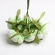 thumbnail image 5 of Rose Buds Flor Artificial Nupcial Ramo Hecho en hogar Decoración De Bricolaje Verde pálido Soledad Flores artificiales de la seda de Rose, 5 of 8