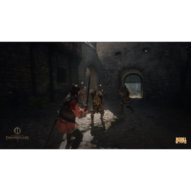 Bandai Namco Blood Of Dawnwalker, PlayStation 5 photo 4