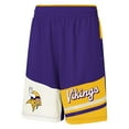 thumbnail image 2 of Youth Purple Minnesota Vikings Fandemonium Mesh Shorts, 2 of 3