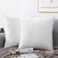 thumbnail image 4 of Housse de Coussin, Ensemble de 2 Housses de Coussin en Velours avec Fermeture Éclair Cachée, Coussin Décoratif Cadeau, 4 of 5