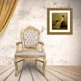 thumbnail image 3 of Thomas Wilmer Dewing 20x21 Gold Ornate Framed and Double Matted Museum Art Print Titled - Lady in White (No. 2) (ca. 1910), 3 of 4