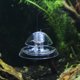 thumbnail image 4 of Trampa de plástico transparente para acuario tanque de peces Pl Planaria sanguijuela captura Medio Ambiente 1pc, 4 of 4