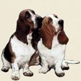 thumbnail image 3 of CafePress - Basset Hounds Light T Shirt - Men's Classic Graphic T-Shirt, 3 of 4