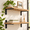 14 Inch-2 PACK, variant on 20 Inch 2 Pack Heavy Duty T Floating Steel Brackets for Countertops Cabinets