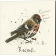 thumbnail image 3 of Metaverse Michelle Campbell 'Redpoll, Warbler & Willow Tit' Canvas Art (Set of 3), 3 of 5